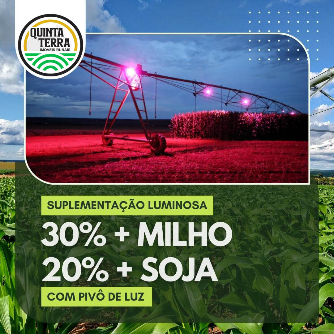 Suplementação luminosa 30% + milho e 20% + soja