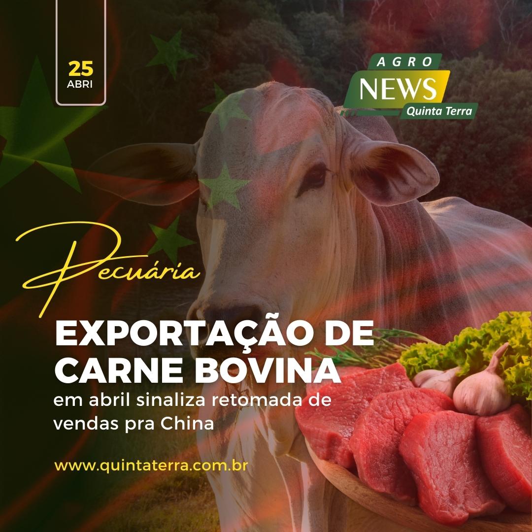 Exportação de carne bovina