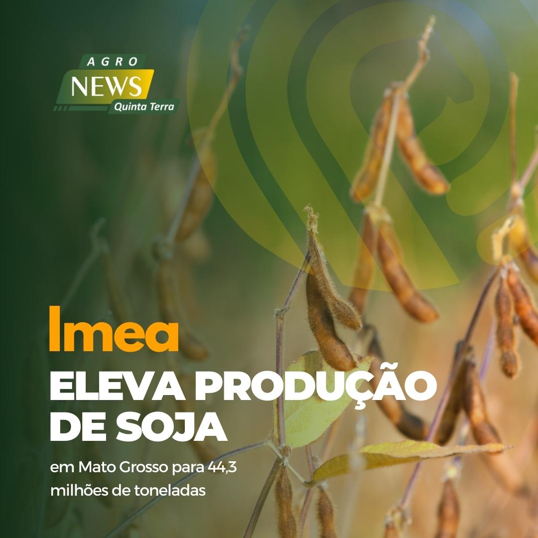 Imea, eleva produção de soja em MT