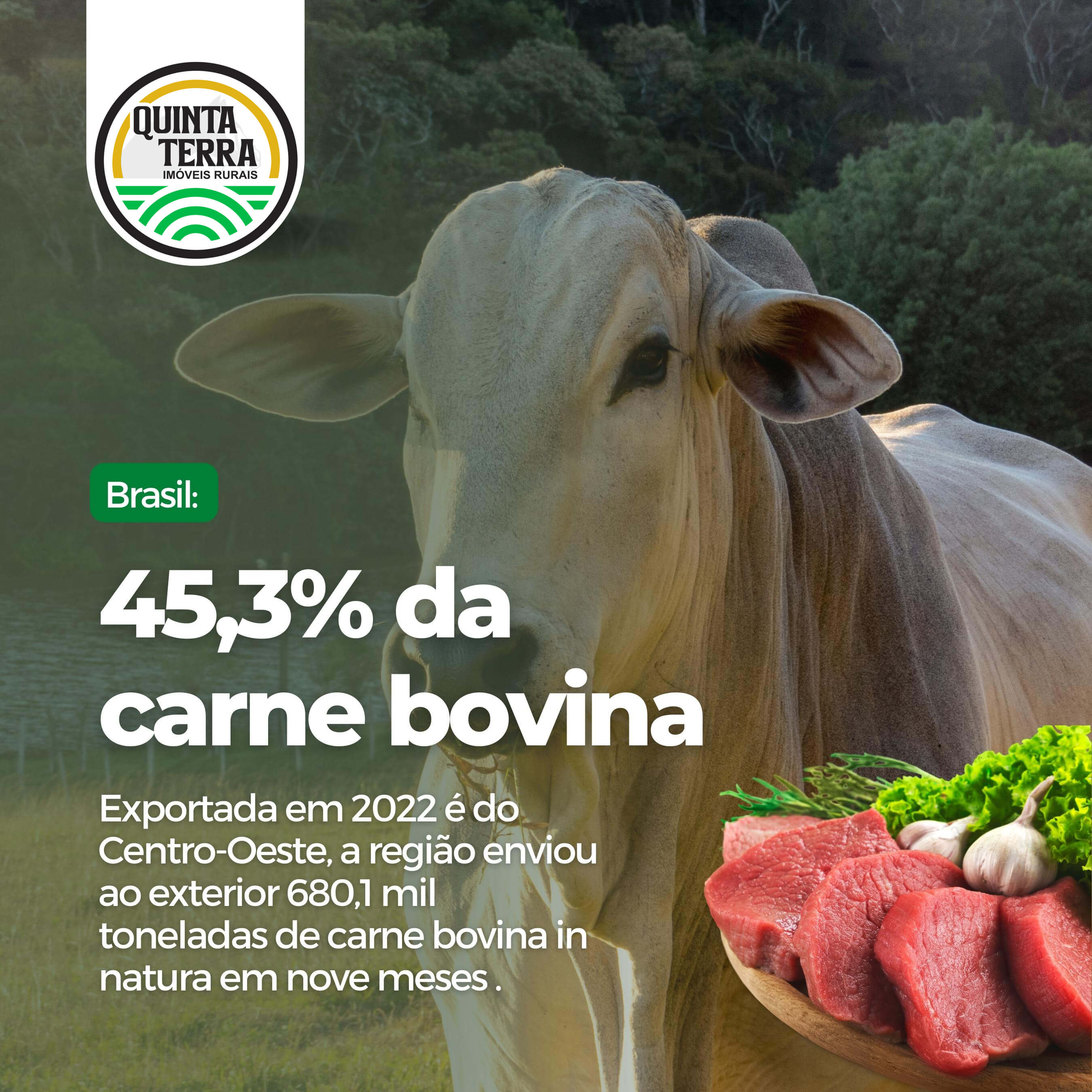 Região Centro-Oeste foi responsável por 45,3%