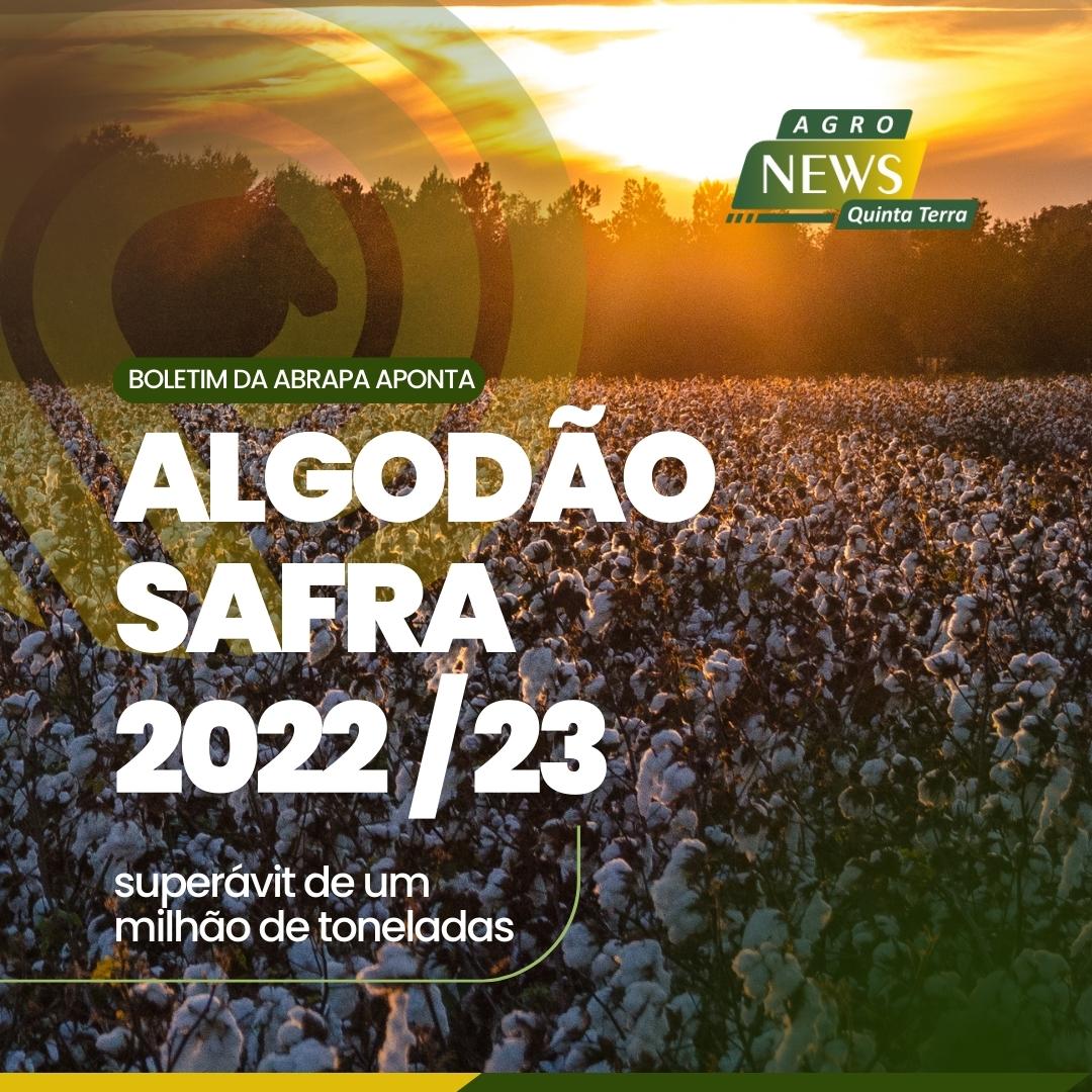 Algodão safra 2022/23