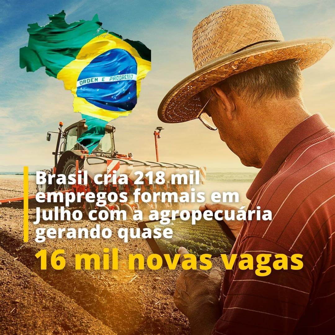 Agropeuária gera mais de 16 mil vagas de emprego