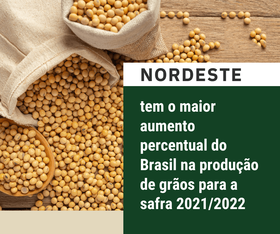 Nordeste teve maior aumento de produção de grãos