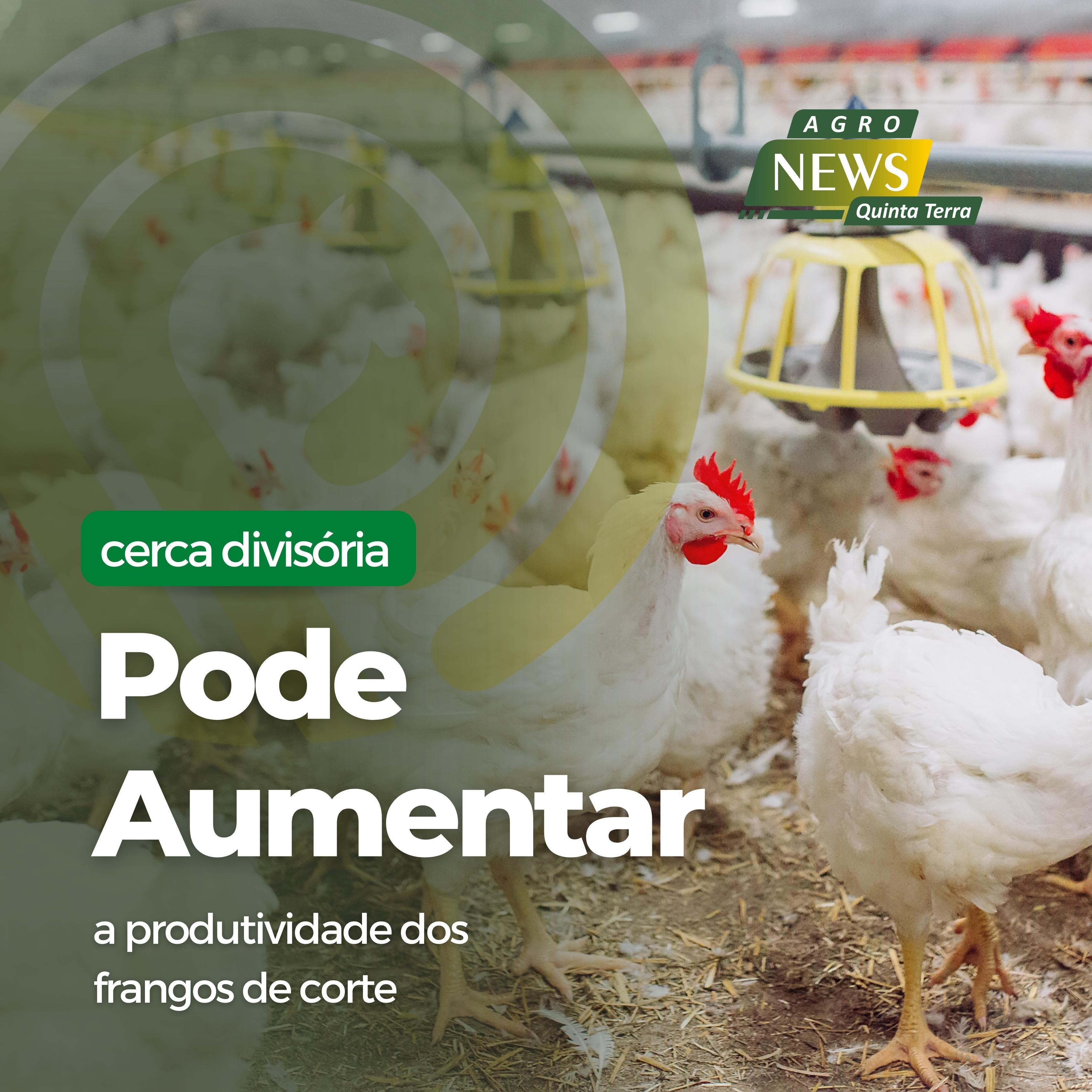 Cerca divisória pode aumentar produtividade
