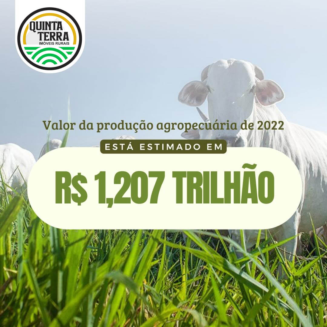 Produção agropecuária 2022