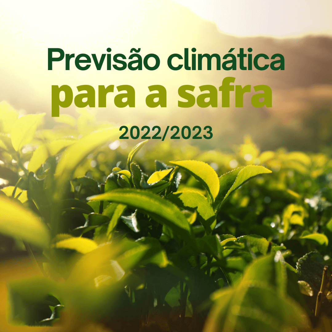 Previsão climática para 22/23