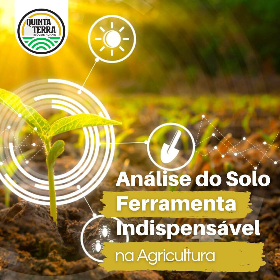 Análise de solo ferramenta indispensável