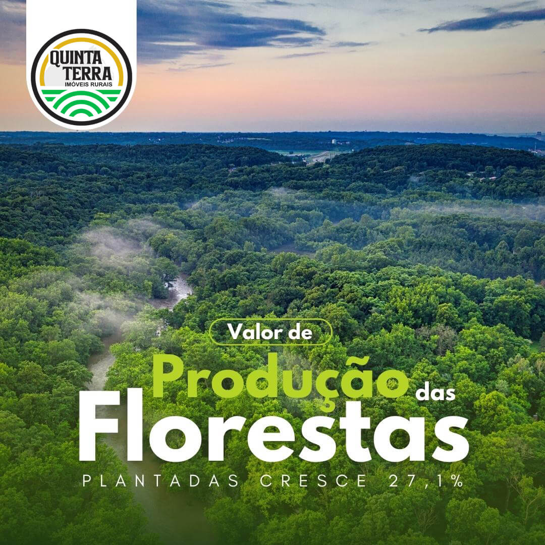 Produção das florestas plantadas cresce 27,1 %